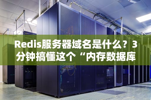 Redis服务器域名是什么？3分钟搞懂这个“内存数据库”的门牌号！