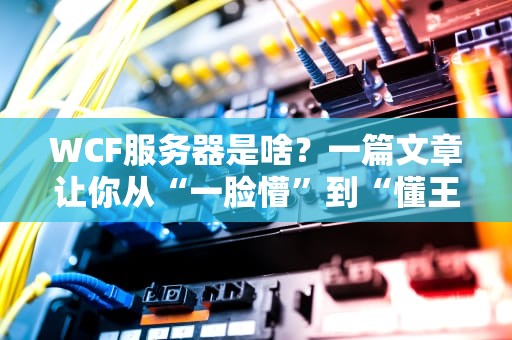 WCF服务器是啥？一篇文章让你从“一脸懵”到“懂王”！