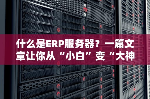 什么是ERP服务器？一篇文章让你从“小白”变“大神”（附真实测评案例）