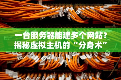 一台服务器能建多个网站？揭秘虚拟主机的“分身术”