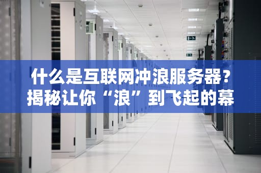 什么是互联网冲浪服务器？揭秘让你“浪”到飞起的幕后英雄！