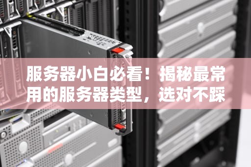 服务器小白必看！揭秘最常用的服务器类型，选对不踩坑！