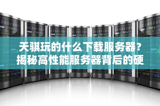 天骐玩的什么下载服务器？揭秘高性能服务器背后的硬核科技与骚操作！