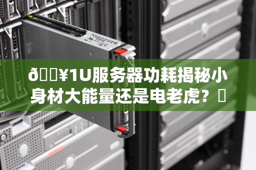 🔥1U服务器功耗揭秘小身材大能量还是电老虎？⚡
