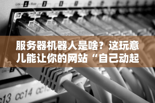 服务器机器人是啥？这玩意儿能让你的网站“自己动起来”！