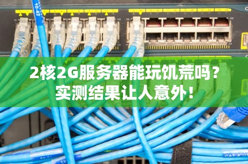 2核2G服务器能玩饥荒吗？实测结果让人意外！