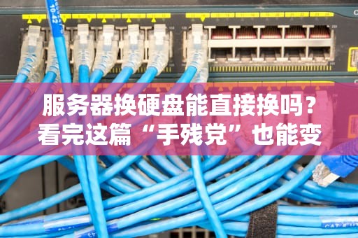 服务器换硬盘能直接换吗？看完这篇“手残党”也能变大神！