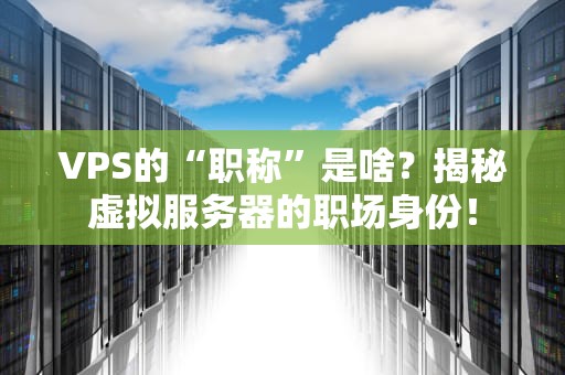 VPS的“职称”是啥？揭秘虚拟服务器的职场身份！
