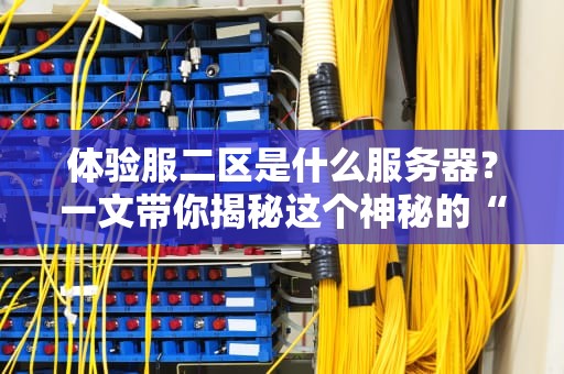 体验服二区是什么服务器？一文带你揭秘这个神秘的“测试乐园”！
