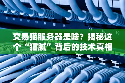 交易猫服务器是啥？揭秘这个“猫腻”背后的技术真相！