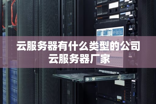 云服务器有什么类型的公司 云服务器厂家