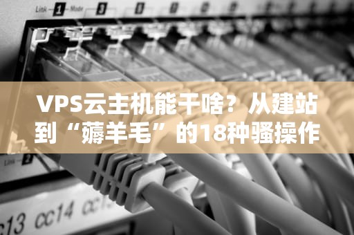 VPS云主机能干啥？从建站到“薅羊毛”的18种骚操作！