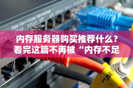 内存服务器购买推荐什么？看完这篇不再被“内存不足”逼疯！