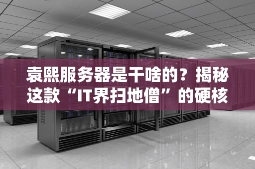 袁熙服务器是干啥的？揭秘这款“IT界扫地僧”的硬核实力！