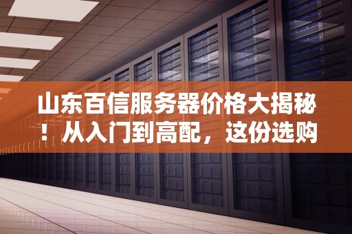 山东百信服务器价格大揭秘！从入门到高配，这份选购指南让你不花冤枉钱