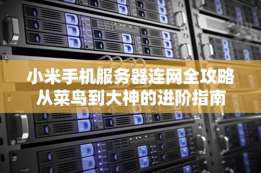 小米手机服务器连网全攻略从菜鸟到大神的进阶指南