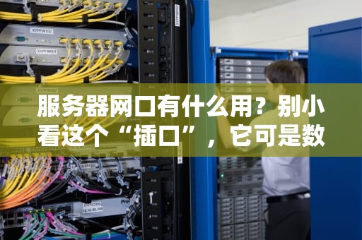 服务器网口有什么用？别小看这个“插口”，它可是数据高速路的收费站！