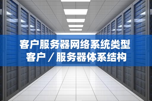 客户服务器网络系统类型 客户／服务器体系结构