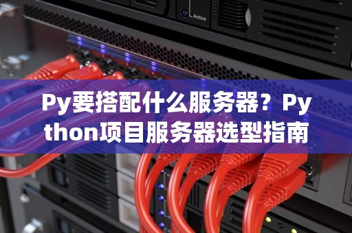 Py要搭配什么服务器？Python项目服务器选型指南，轻松避坑不头秃！