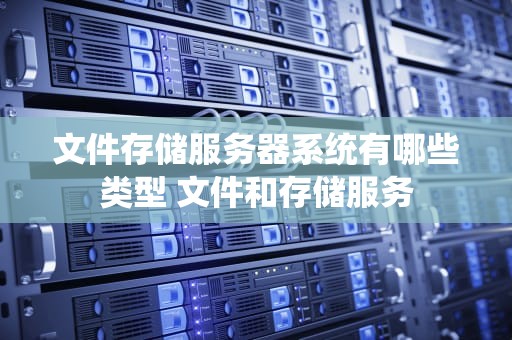 文件存储服务器系统有哪些类型 文件和存储服务