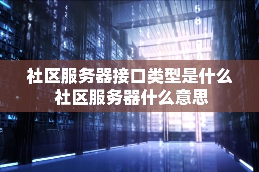 社区服务器接口类型是什么 社区服务器什么意思