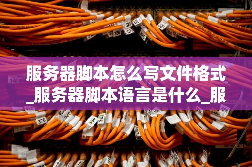 服务器脚本怎么写文件格式_服务器脚本语言是什么_服务器脚本编写文件格式的探索