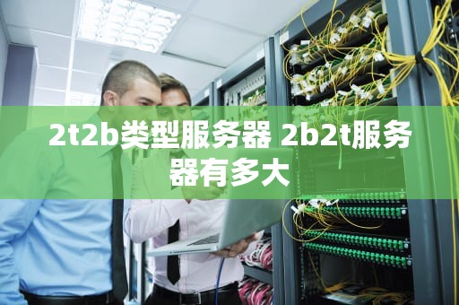 2t2b类型服务器 2b2t服务器有多大