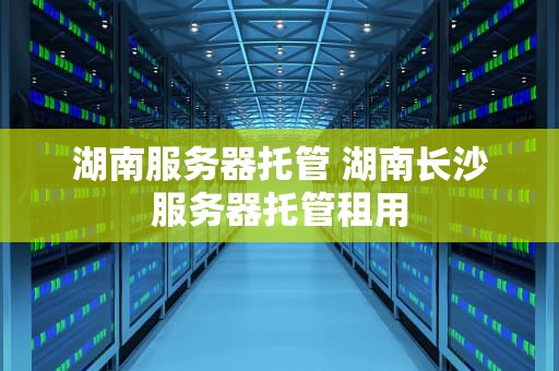湖南服务器托管 湖南长沙服务器托管租用