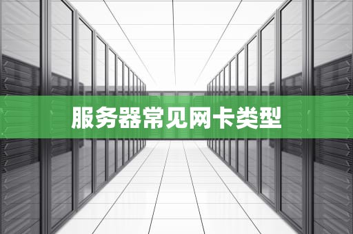 服务器常见网卡类型