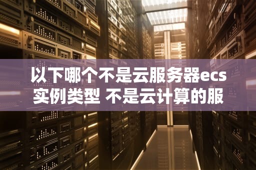 以下哪个不是云服务器ecs实例类型 不是云计算的服务模式