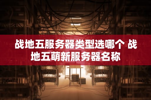 战地五服务器类型选哪个 战地五萌新服务器名称