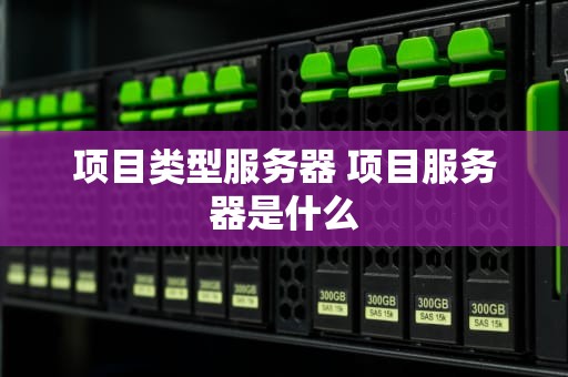 项目类型服务器 项目服务器是什么