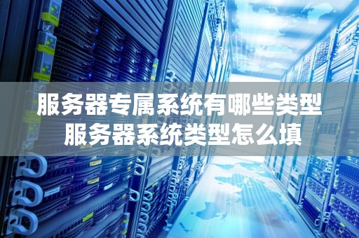 服务器专属系统有哪些类型 服务器系统类型怎么填