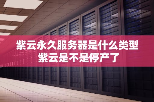 紫云永久服务器是什么类型 紫云是不是停产了