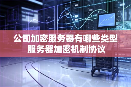 公司加密服务器有哪些类型 服务器加密机制协议