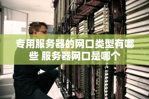 专用服务器的网口类型有哪些 服务器网口是哪个