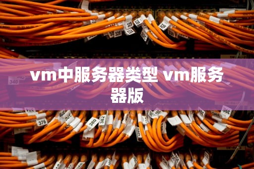 vm中服务器类型 vm服务器版