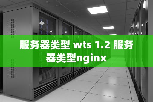 服务器类型 wts 1.2 服务器类型nginx