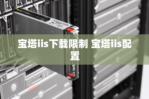 宝塔iis下载限制 宝塔iis配置