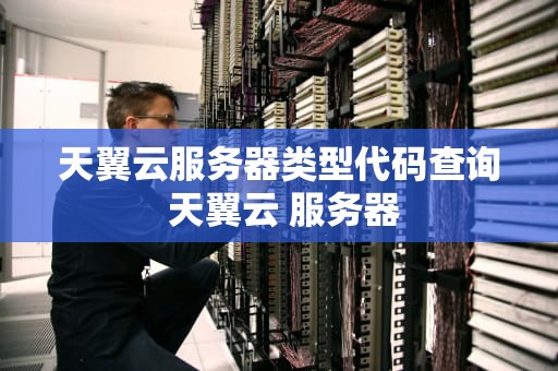 天翼云服务器类型代码查询 天翼云 服务器