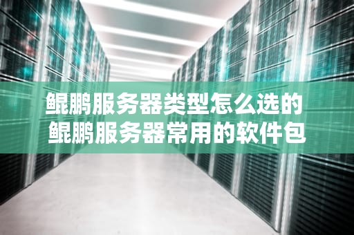 鲲鹏服务器类型怎么选的 鲲鹏服务器常用的软件包