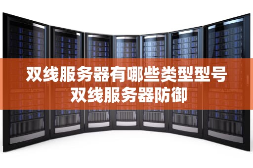 双线服务器有哪些类型型号 双线服务器防御