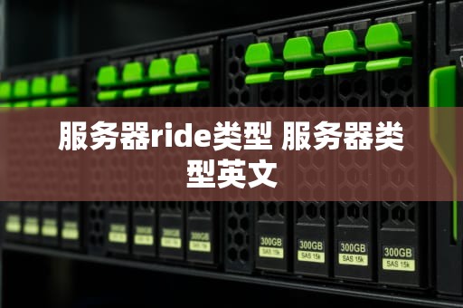 服务器ride类型 服务器类型英文