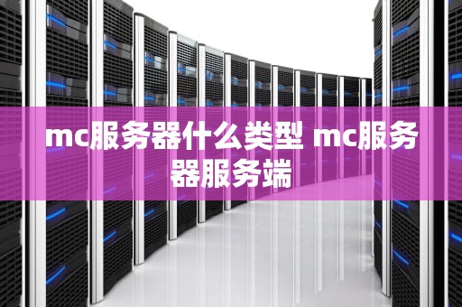 mc服务器什么类型 mc服务器服务端