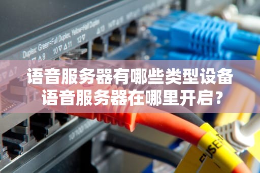 语音服务器有哪些类型设备 语音服务器在哪里开启？