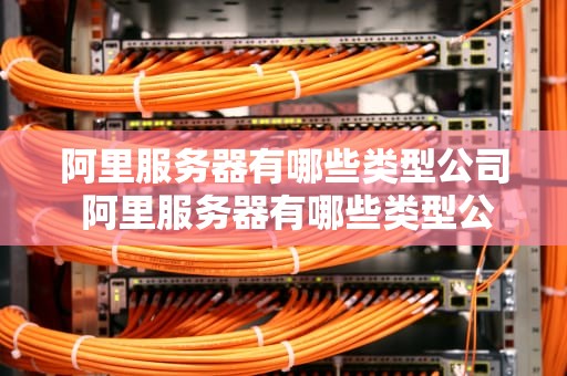 阿里服务器有哪些类型公司 阿里服务器有哪些类型公司名称