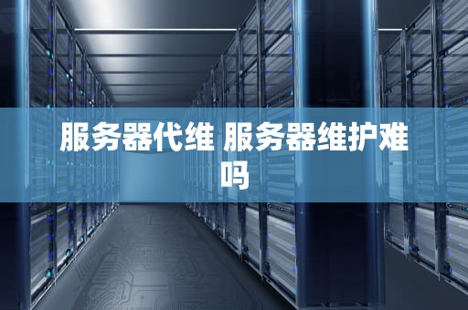 服务器代维 服务器维护难吗