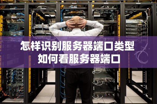 怎样识别服务器端口类型 如何看服务器端口