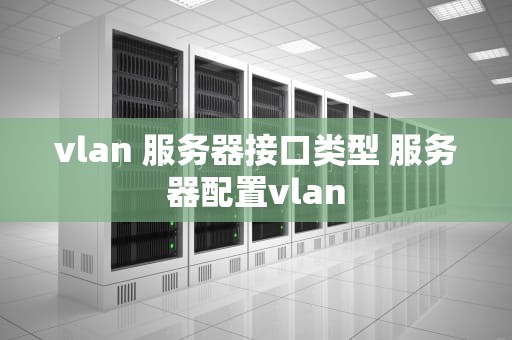 vlan 服务器接口类型 服务器配置vlan