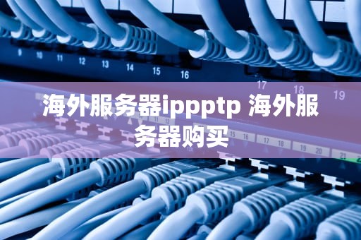 海外服务器ippptp 海外服务器购买